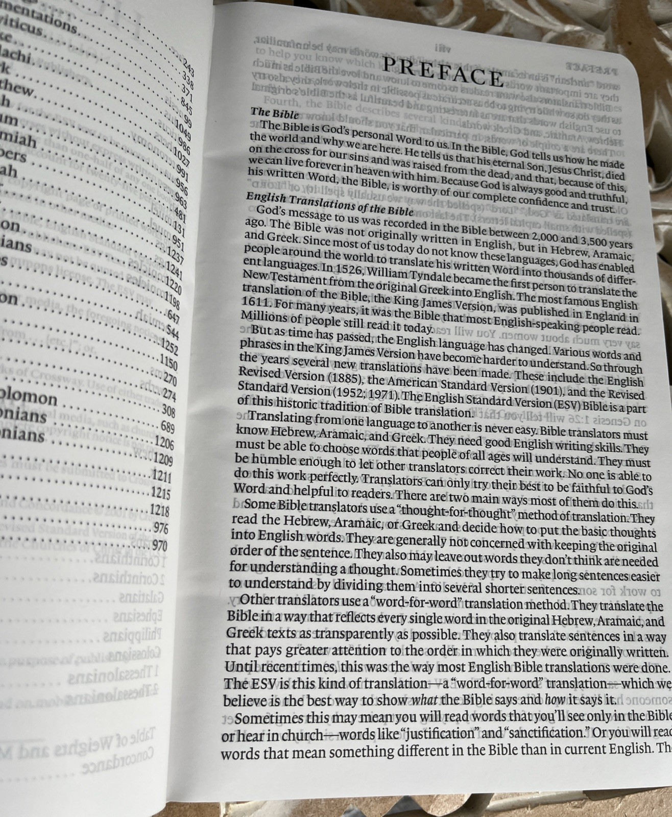 ESV Large Print Value Thinline Bible (Trutone, River Stone, Branch Design): New