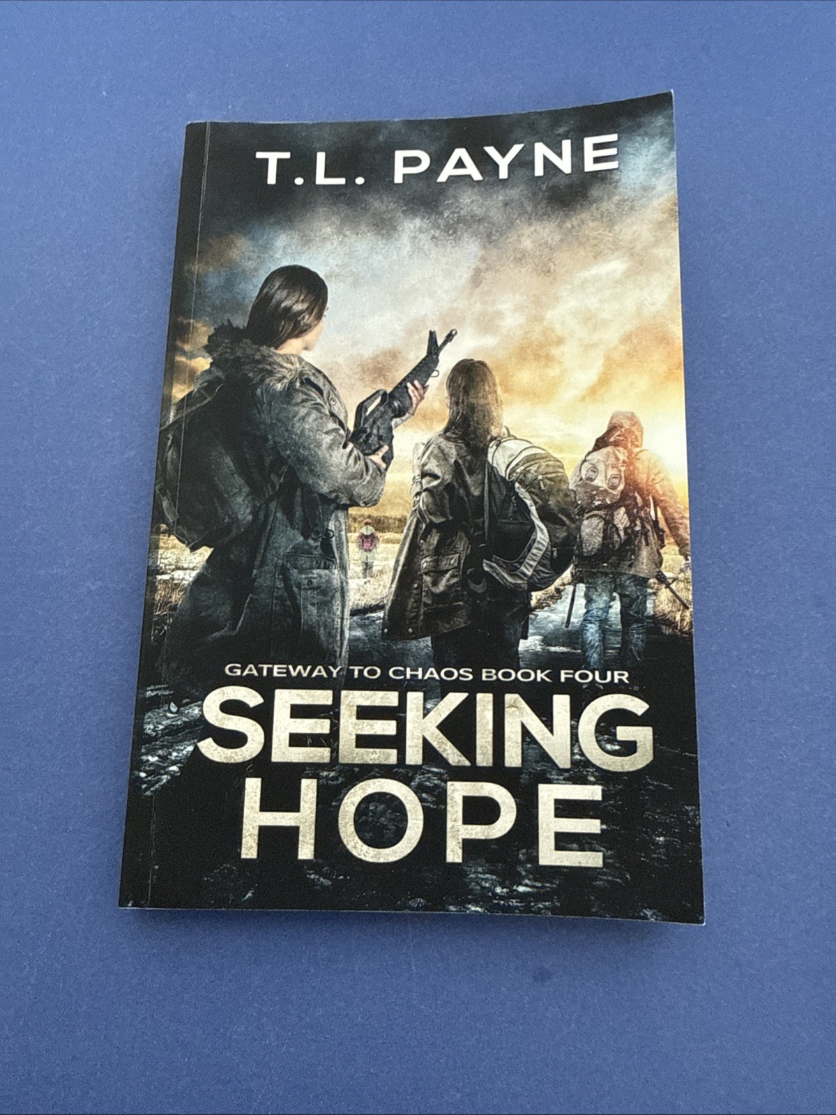 Lot of 4 ~ Trade PB Books ~ T. L. Payne ~ Complete GATEWAY TO CHAOS Series