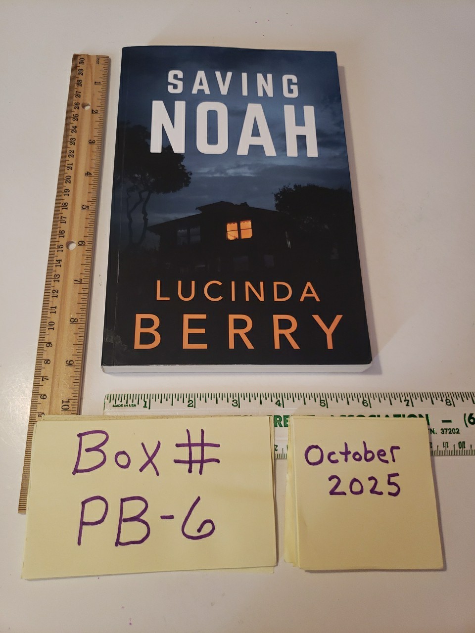 Saving Noah Paperback Book 2017 Lucinda Berry