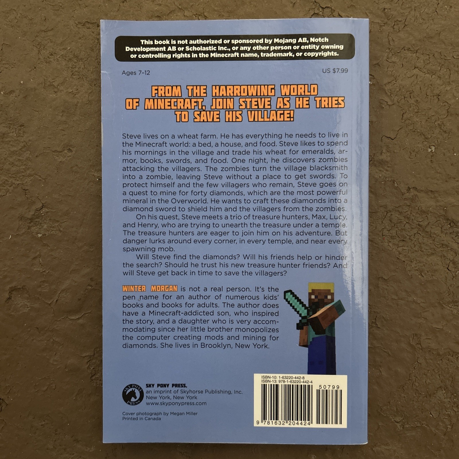 The Quest for the Diamond Sword: An Unofficial GamerÂ?s Adventu – GOOD