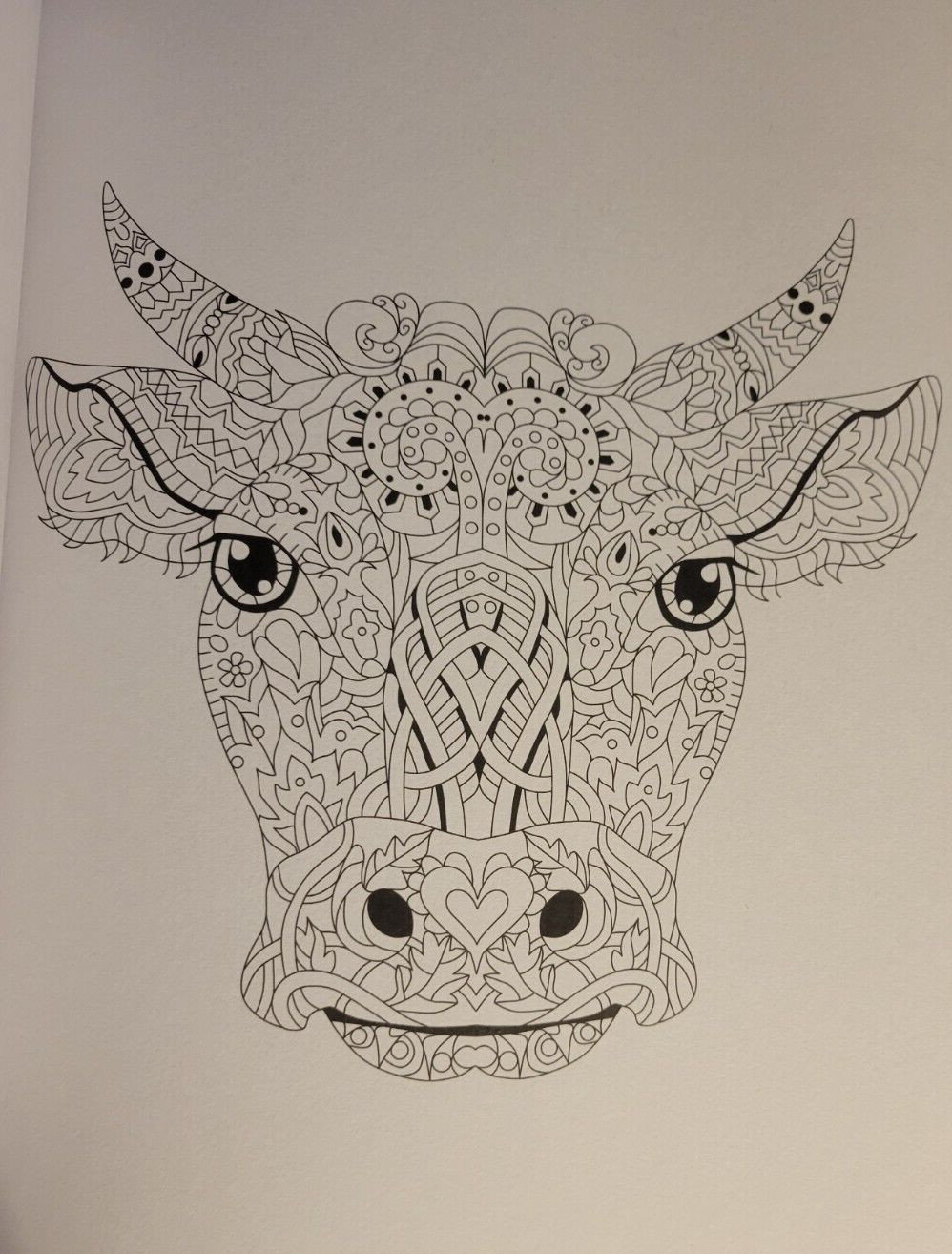 MAGNIFICENT CREATURES Vol 19 – Adult Coloring Book by TOPIX MEDIA – 47 PRINTS