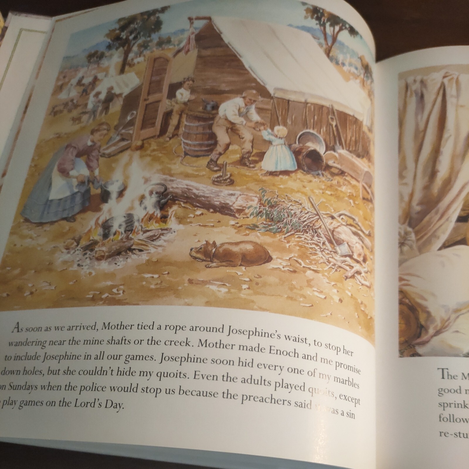 To the Goldfields! By Rachel Tonkin Hardcover Ex Library Illustrated