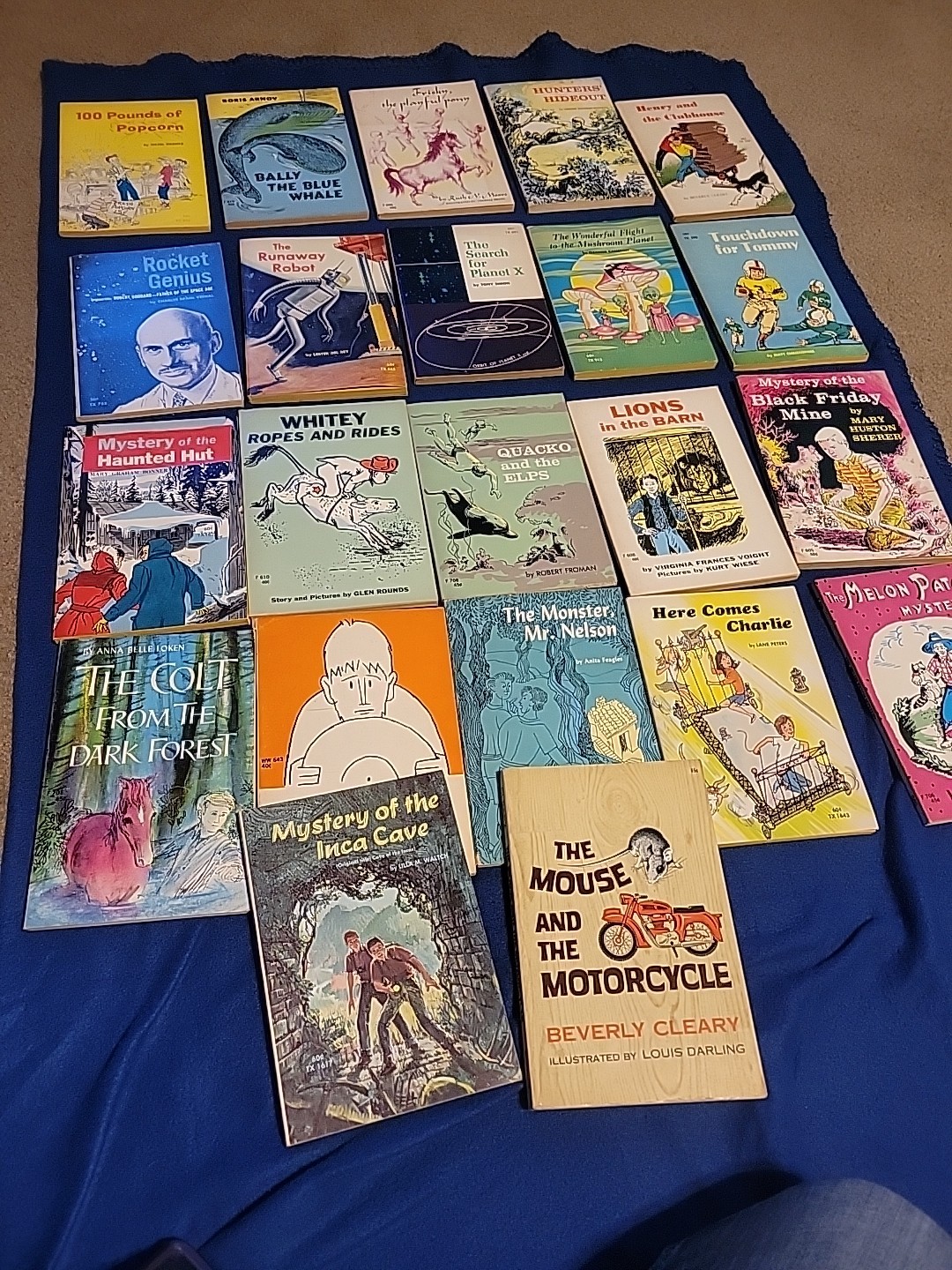 Vintage Young Readers Press ,scholastic And Others Pb Books