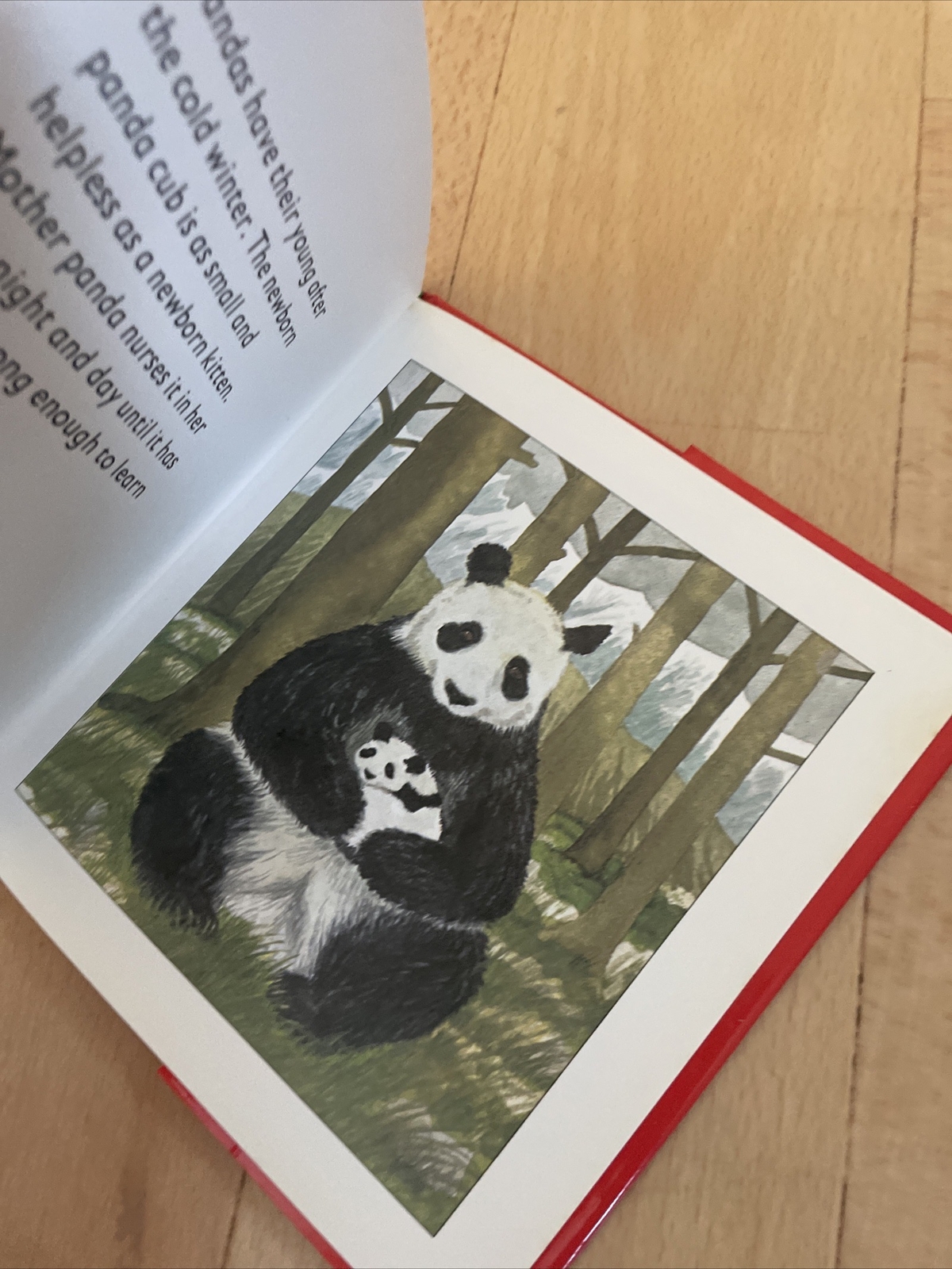 LONGMAN. HELLO PANDA. 17 BY 17CM. HARDCOVER WJACKET 058239077X