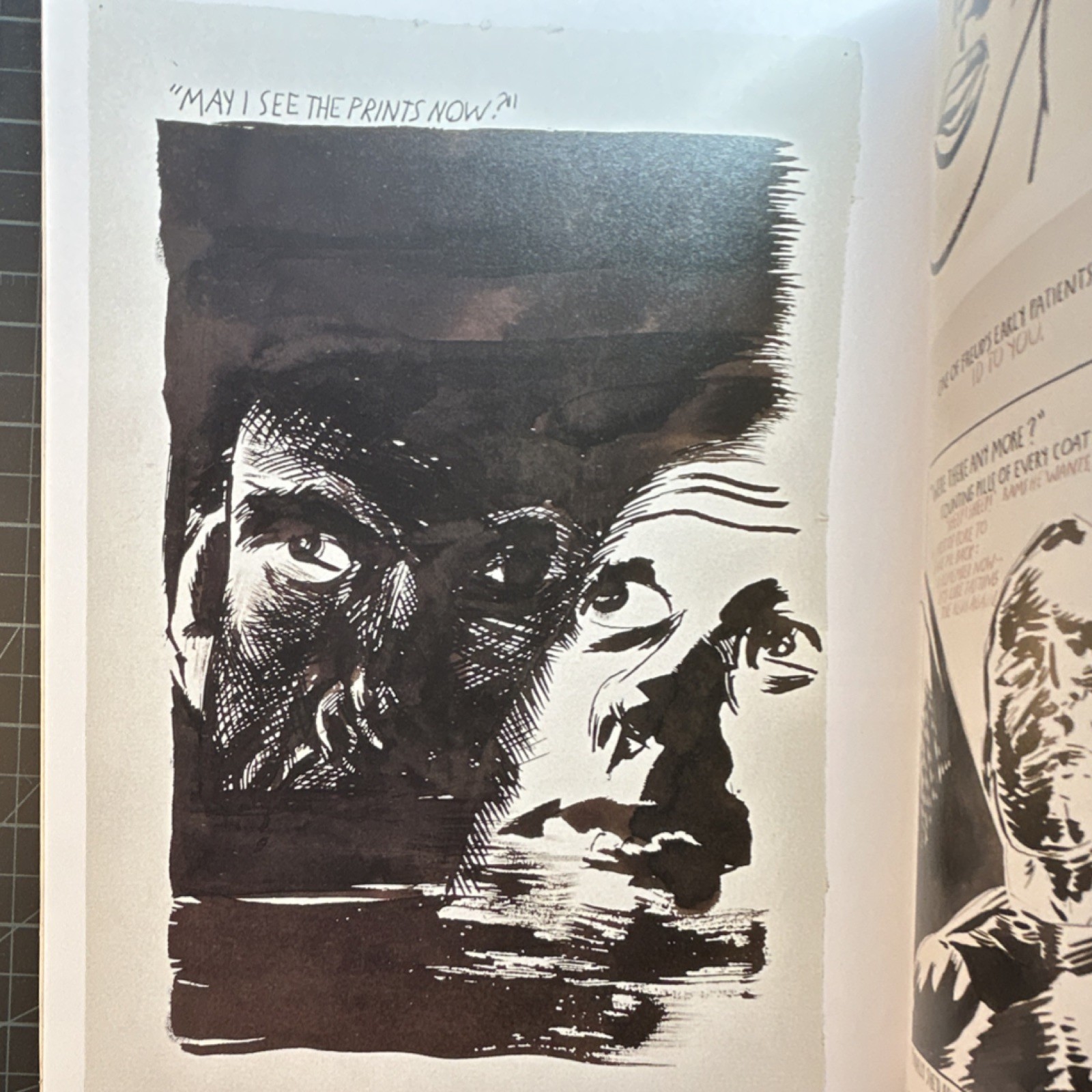 Raymond Pettibon Art Book Softcover Phaidon Press 2001 Illustrated First Edition