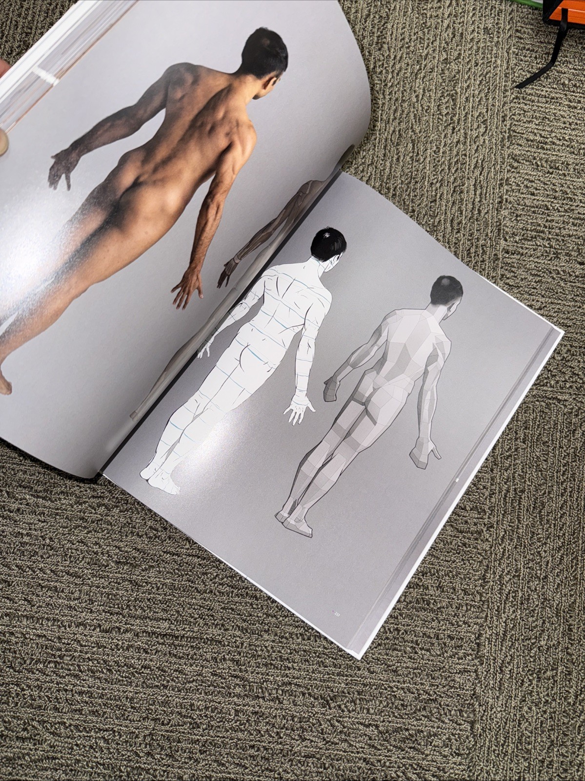 ANATOMY FOR ARTISTS: A VISUAL GUIDE TO THE HUMAN FORM By 3dtotal Publishing NEW