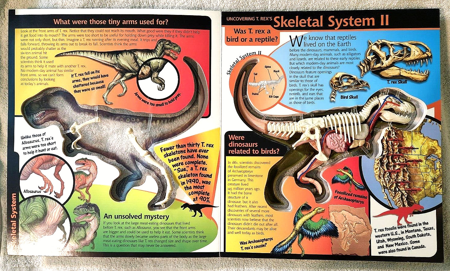 Take A Three-Dimensional Look Inside a T-Rex (2003 Readerlink Uncover Books Used