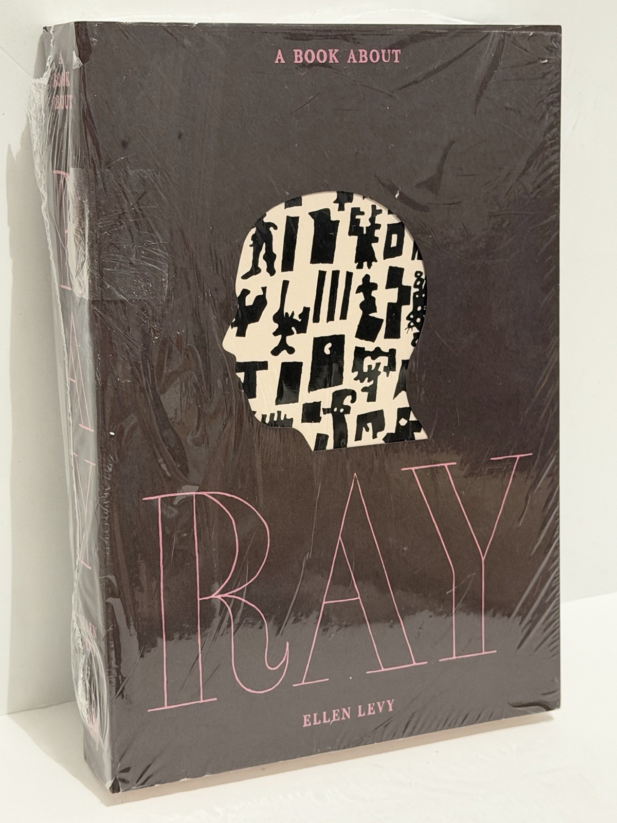 Book About Ray Hardcover by Ellen Levy