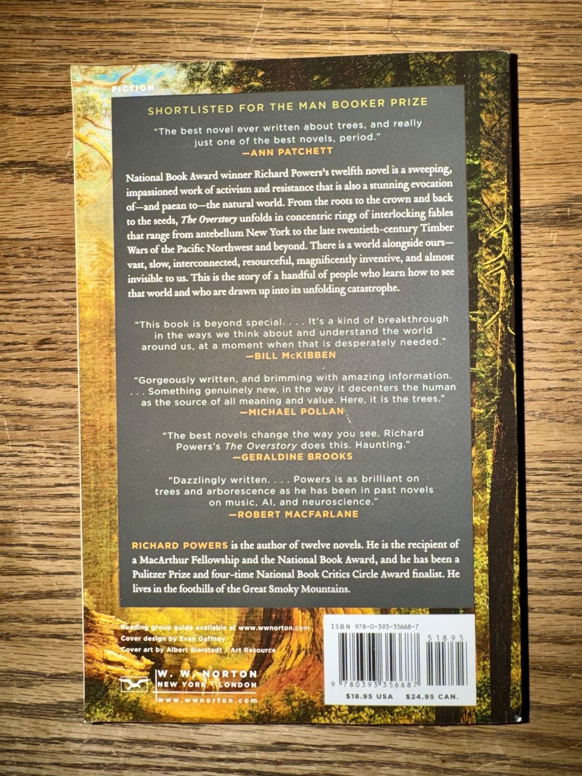 Overstory : A Novel by Richard Powers (2019, 1st Trade Paperback Printing)