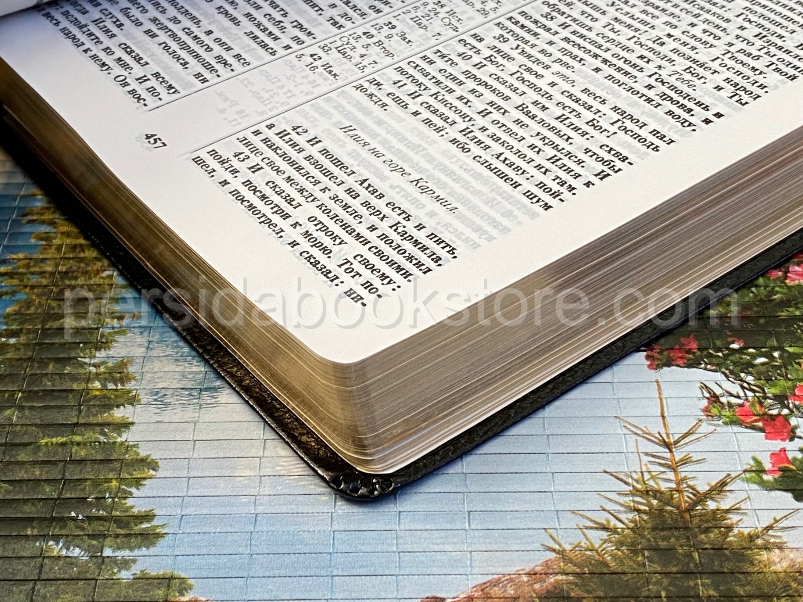 RUSSIAN BIBLE SCOFIELD Русская Библия с комментариями Скоуфилда