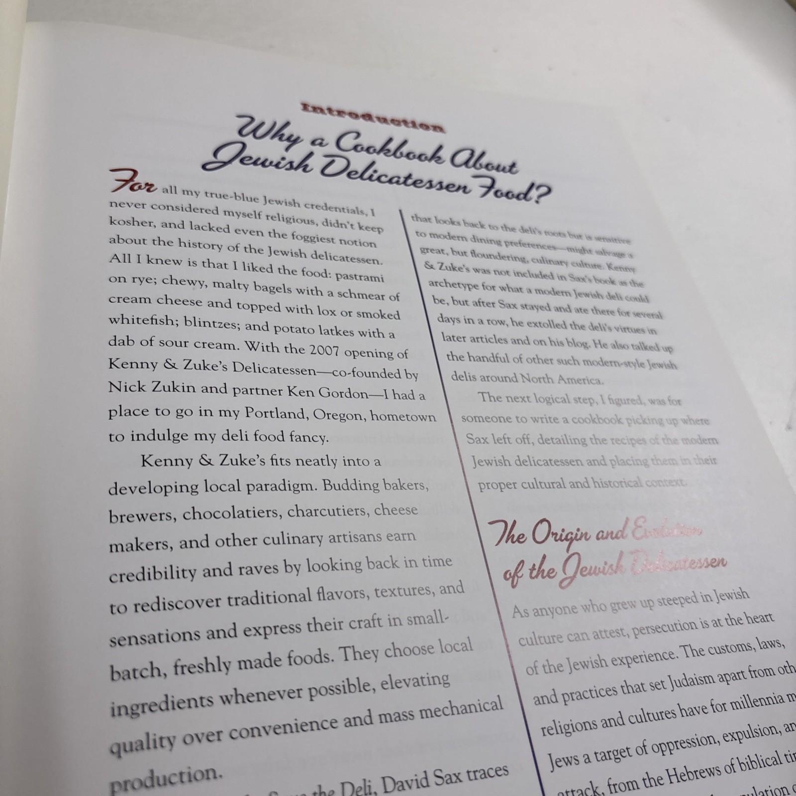 Artisan Jewish Deli at Home by Michael Zusman and Nick Zukin (2013, Hardcover)