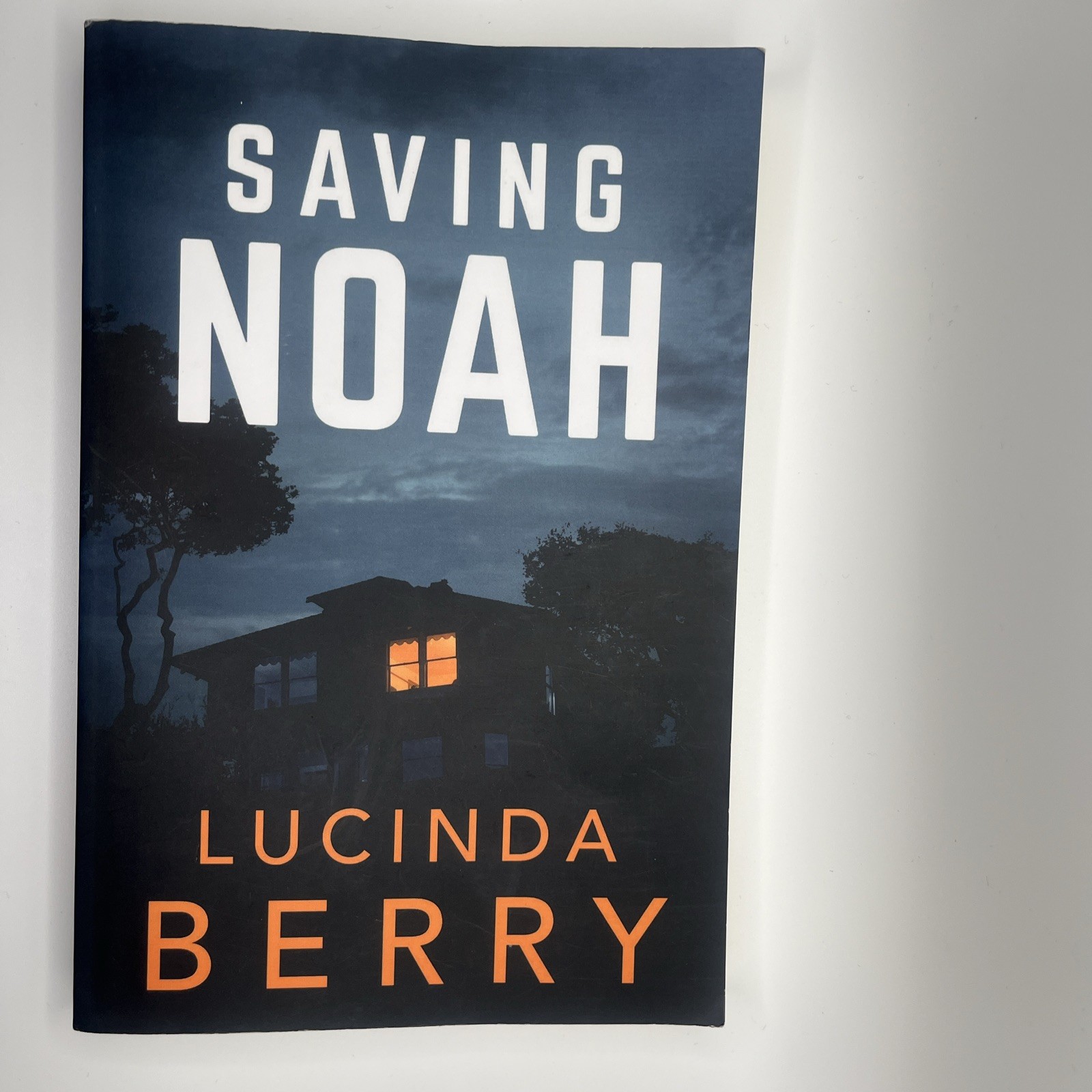 Saving Noah Paperback LIKE NEW