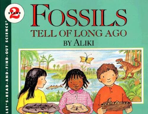 Fossils Tell of Long Ago (Lets-Read-and-Find-Out Science 2) By Aliki – GOOD