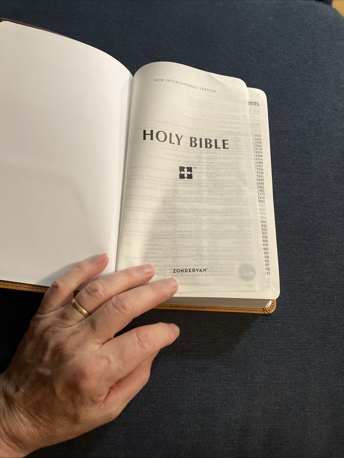 Holy Bible NIV Pew Bible, Large Print, 2009 Zondervan, Amber Duo-Tone Leather