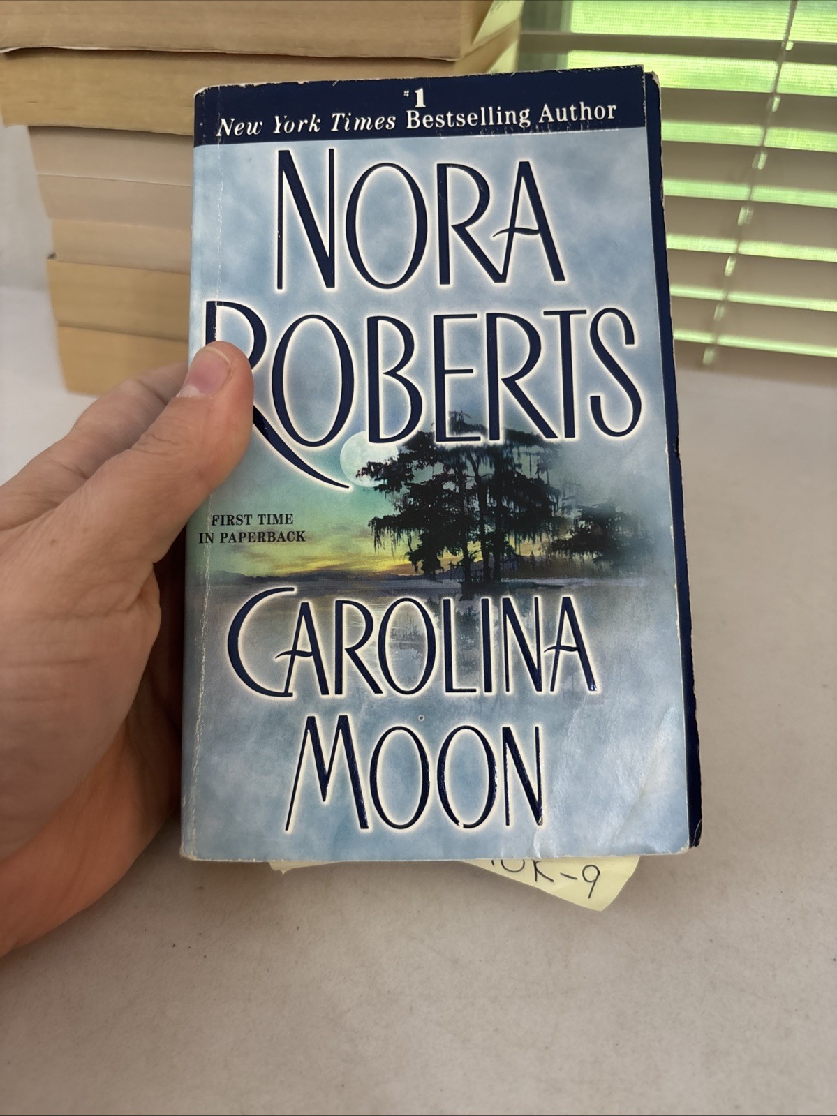 Lot of 10 – Nora Roberts – Stand Alone Novels – Paperbacks – Free Shipping