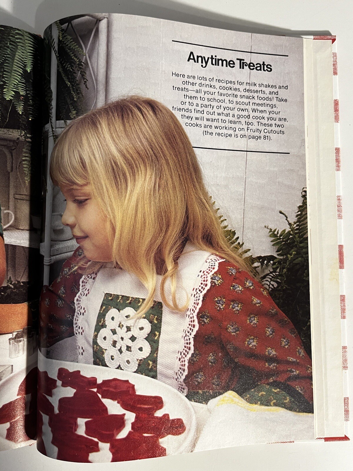 New Junior Cook Book Better Homes and Gardens Meredith Corp Vintage Cookbook