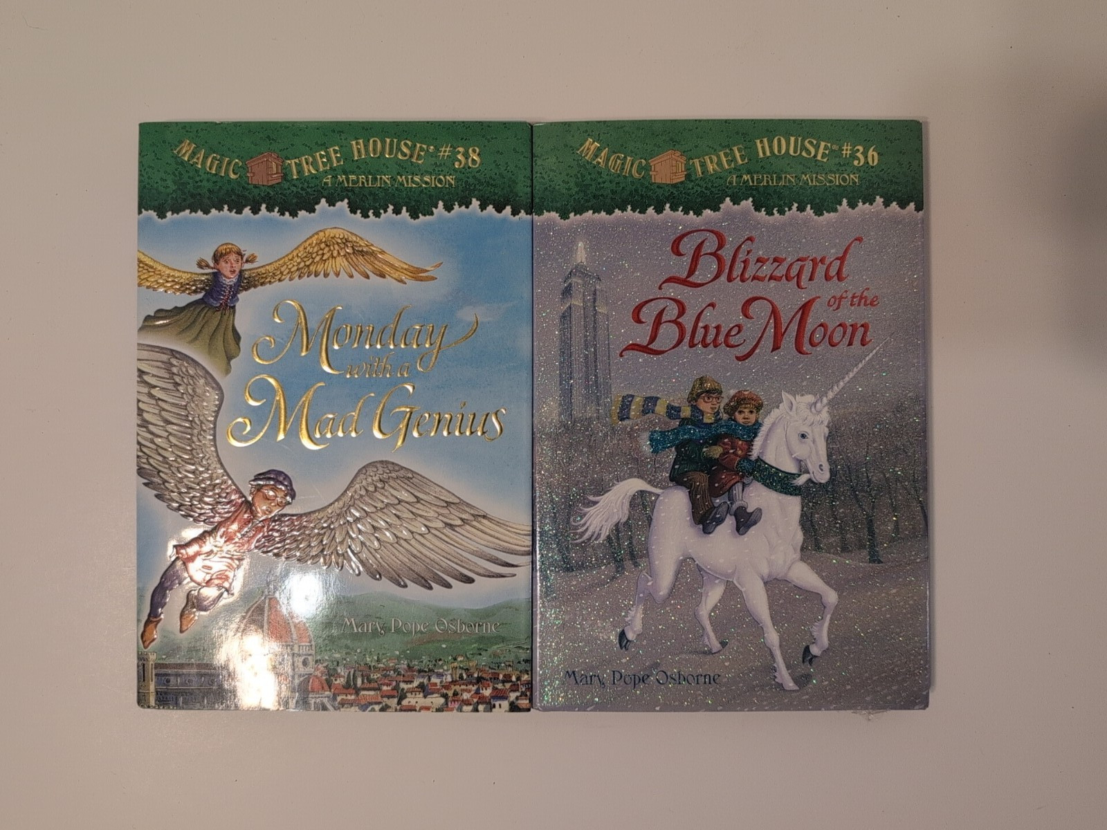 Magic Tree House Merlin Missions Lot of 20 Books Set Not Complete
