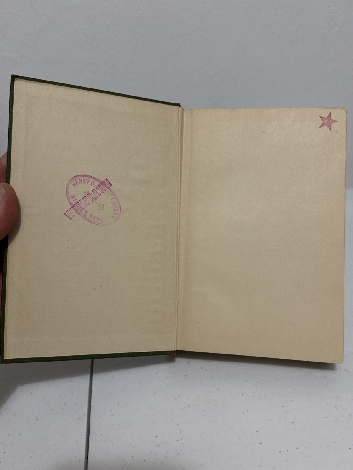 Idle Days in Patagonia by W.H. Hudson-First American Edition-1917