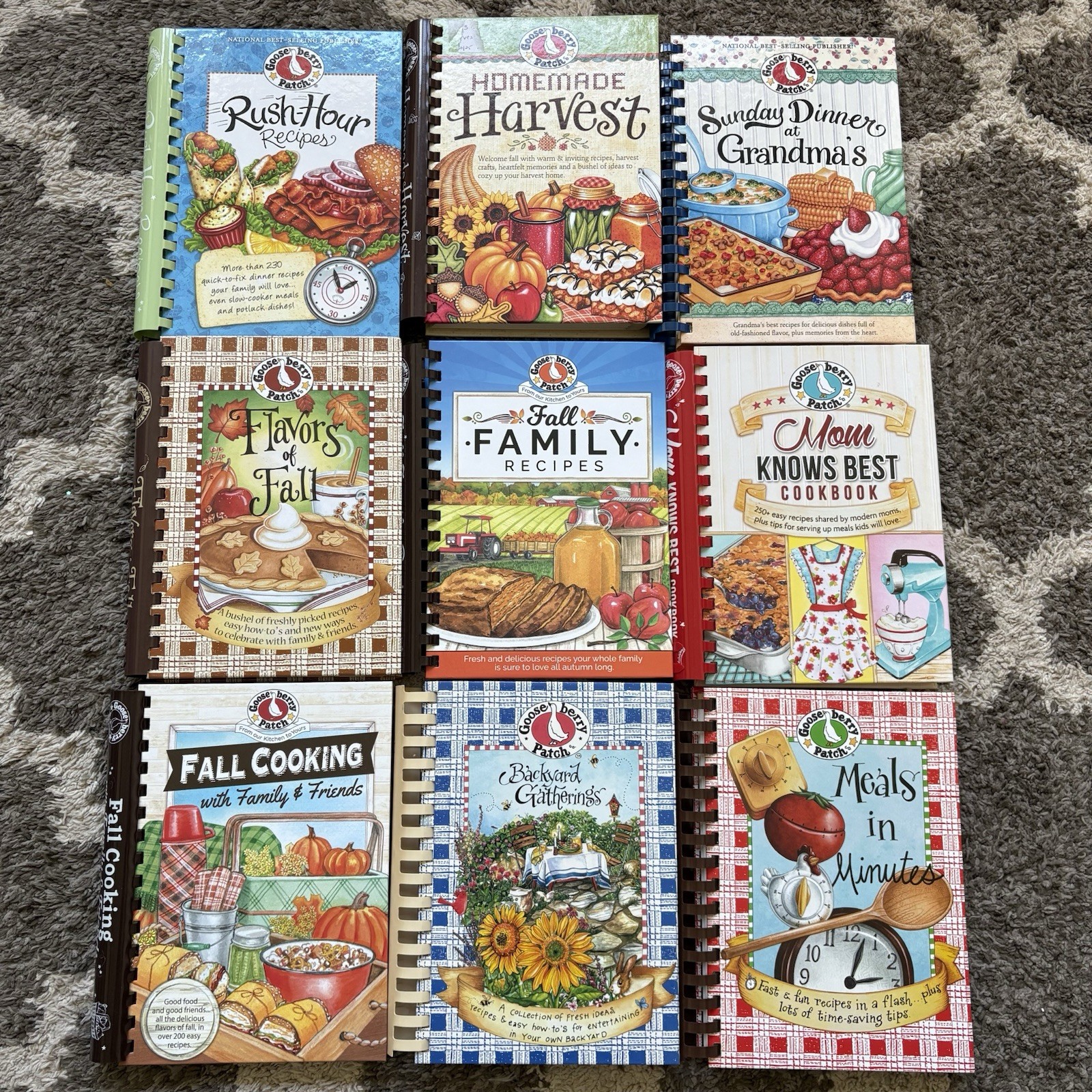 Lot of 10 Goose Berry Patch Cookbooks Fall Harvest Family Recipes Meals
