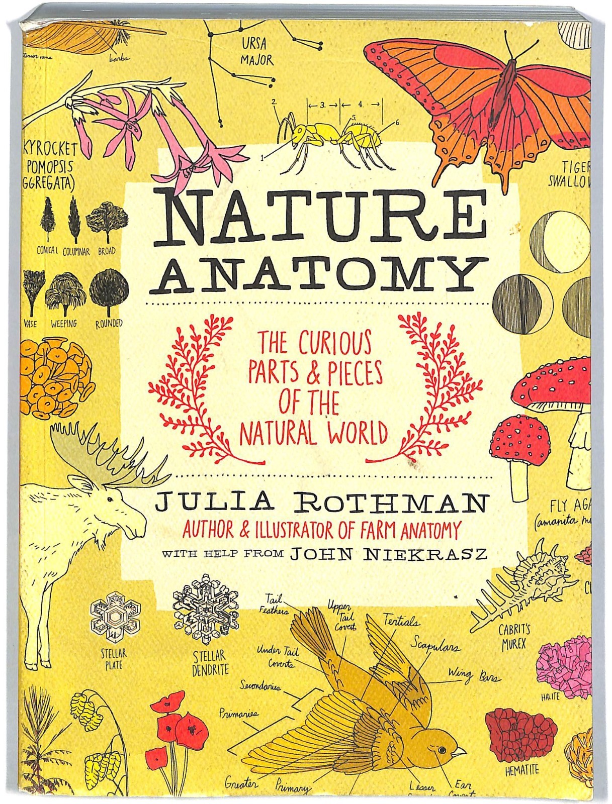 Nature Anatomy: The Curious Parts and Pieces of the Natural World