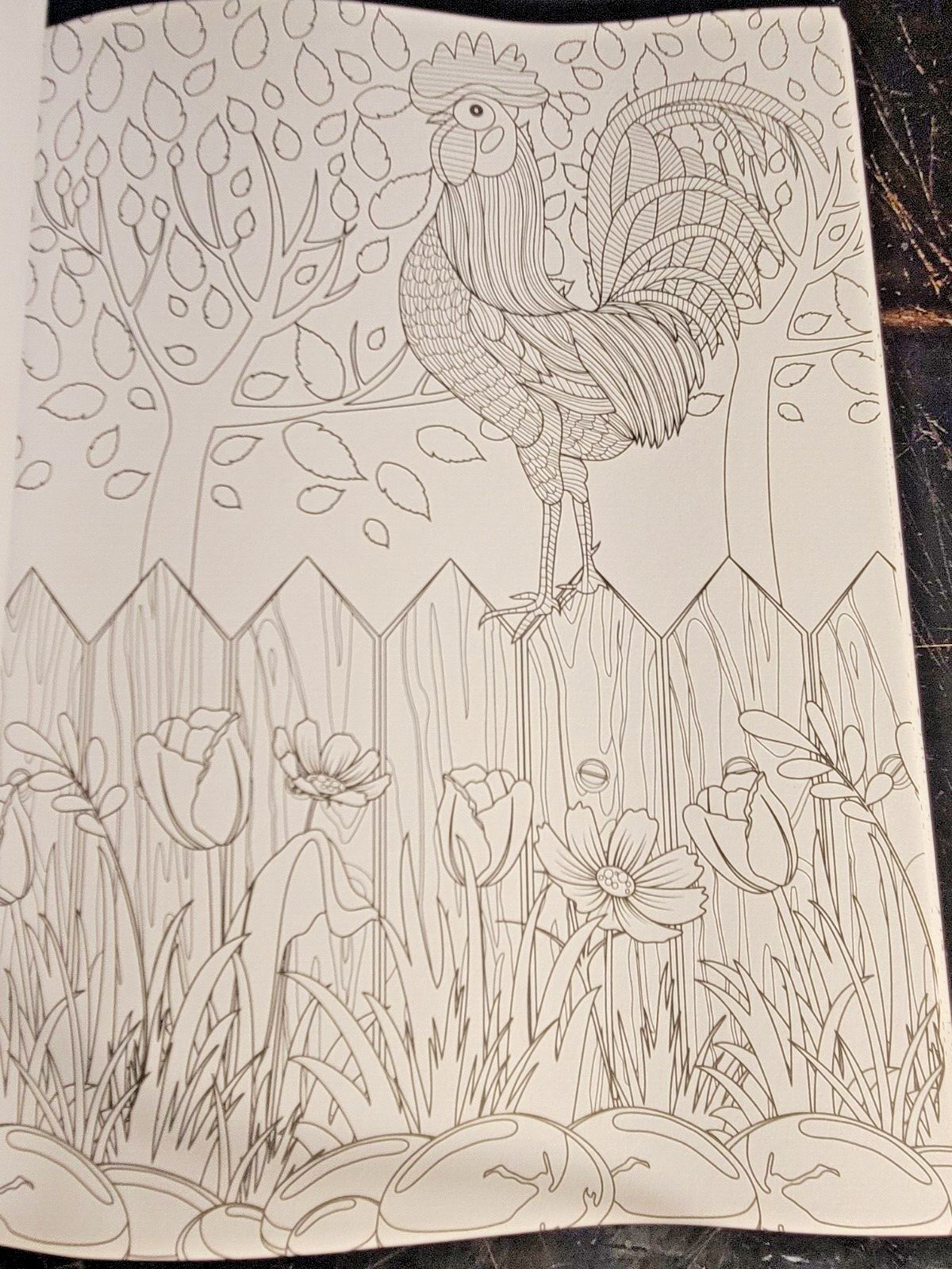 COLORS OF THE WILD! Vol. 16 Adult Coloring Book With 47 Prints Ready To Frame!