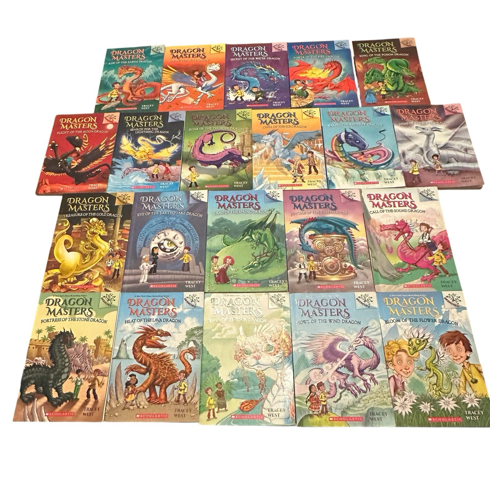 Dragon Masters Books 1–21 Book Lot Tracy West Scholastic PB Set