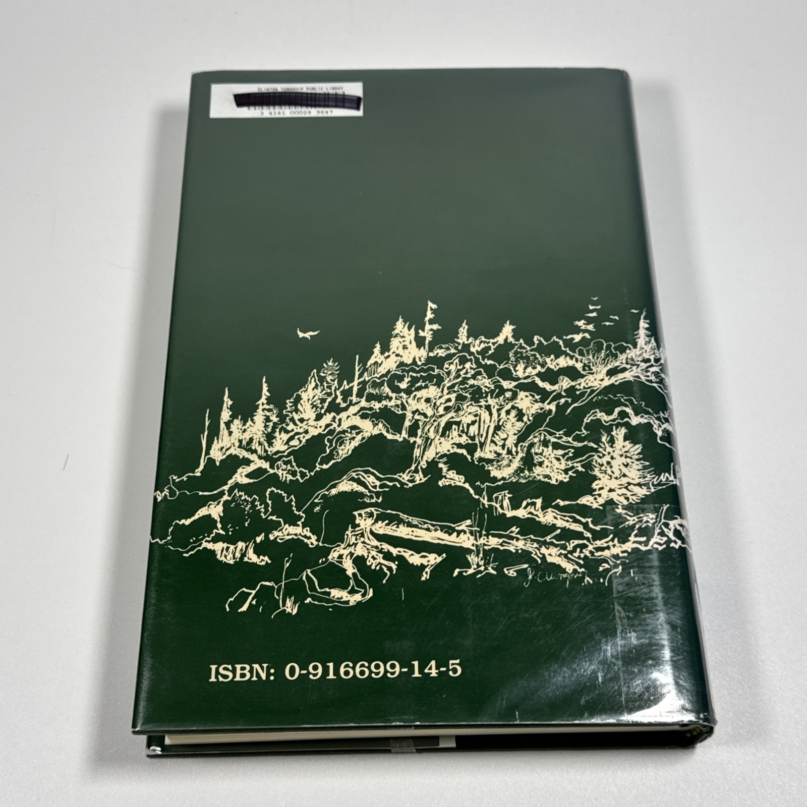 Logs and Lumber by Barbara E. Benson (Clarke Historical Library, 1989)