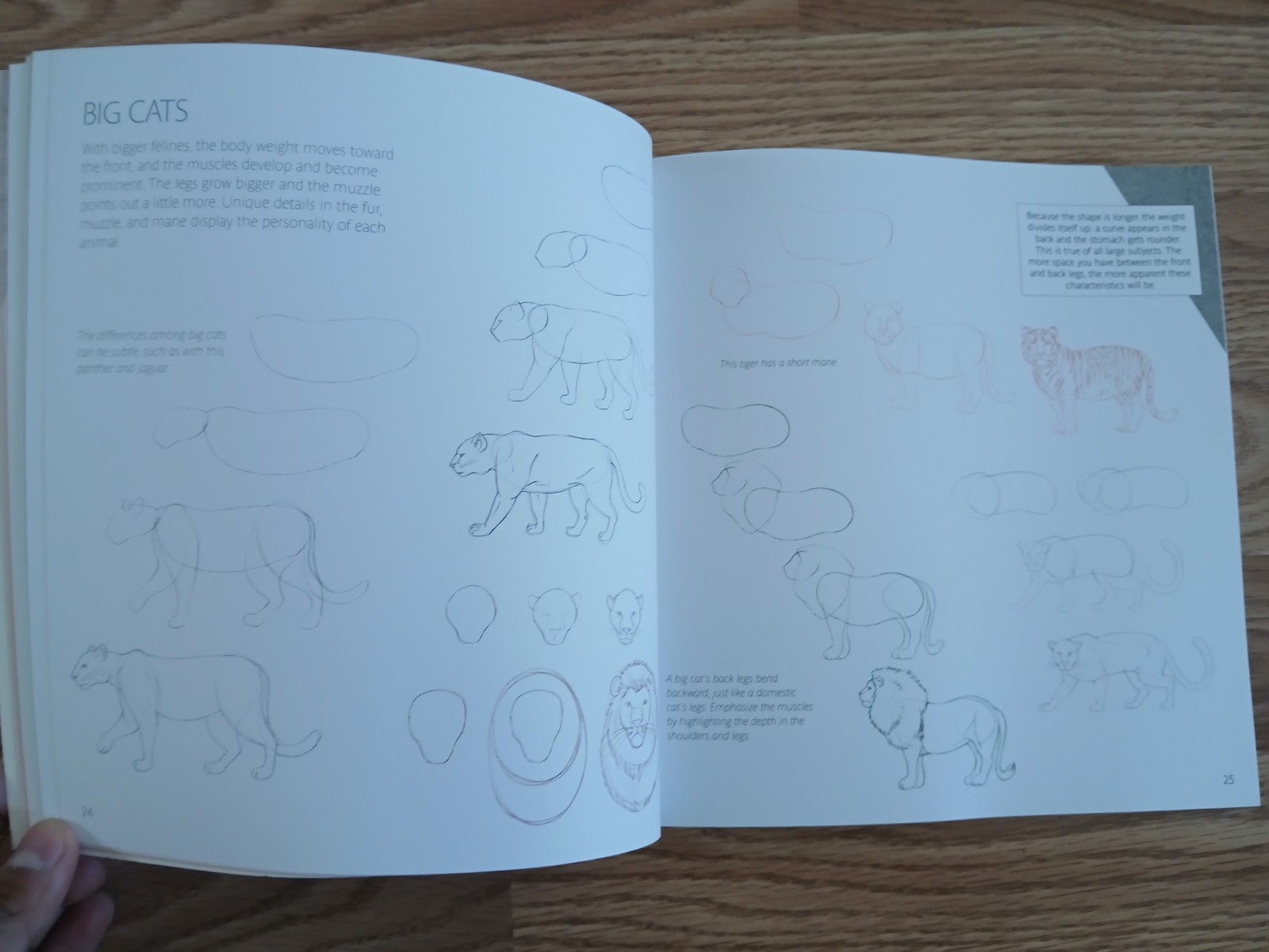 Just for Fun: Drawing by Lise Herzog, Brand New Paperback