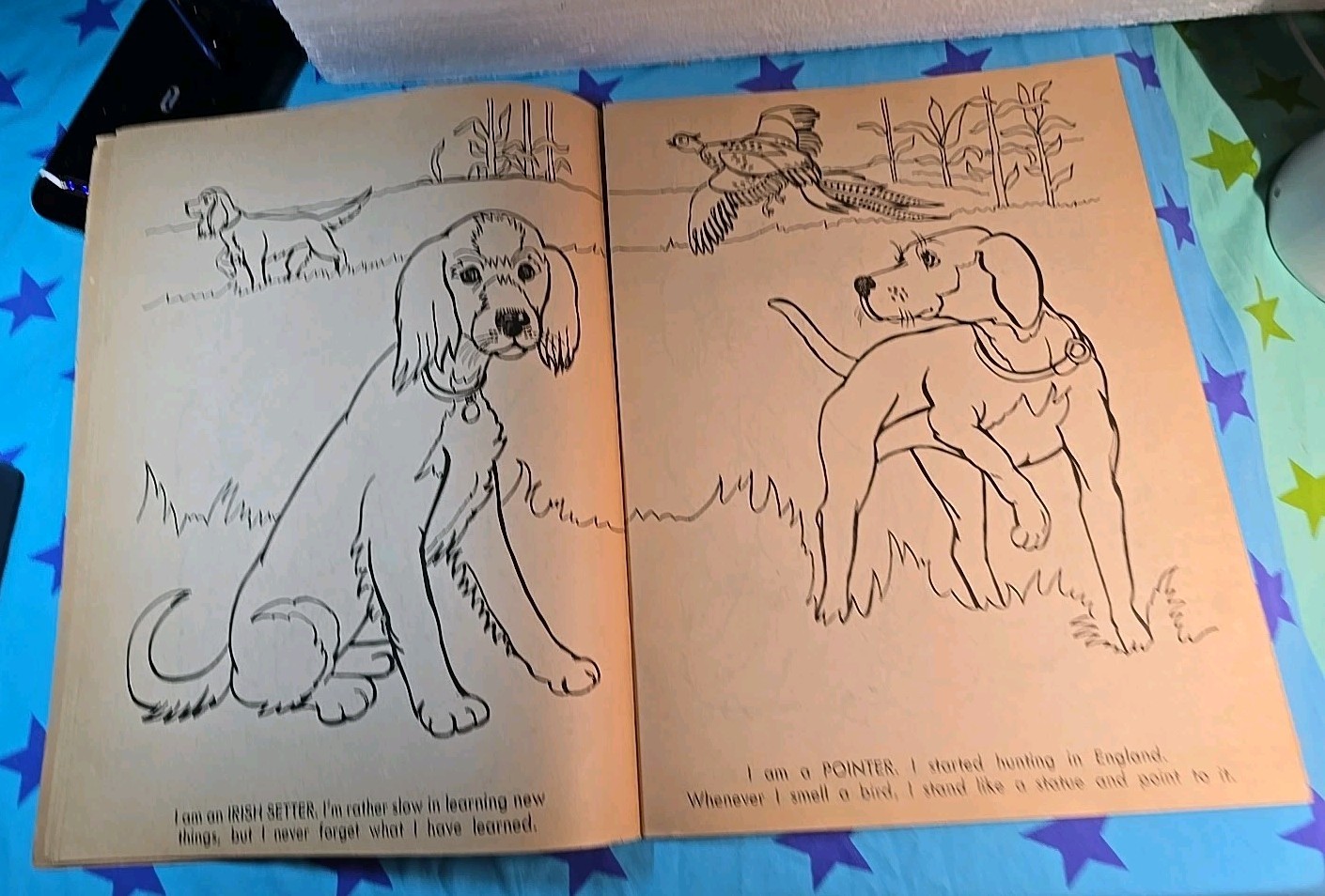 Vintage 1975 Giant Coloring Book “I LOVE DOGS” 11X14.5