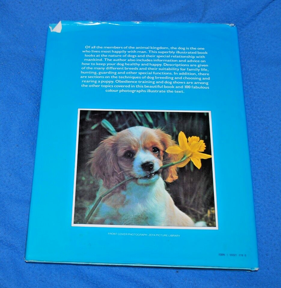 DOGS (1978 oversized hardcover w dj) David Squire Fast Free Ship
