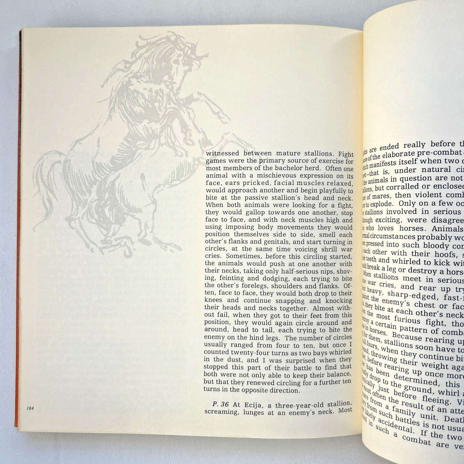 EQUUS by Robert Vavra – First Edition 1977 Hardcover Vintage