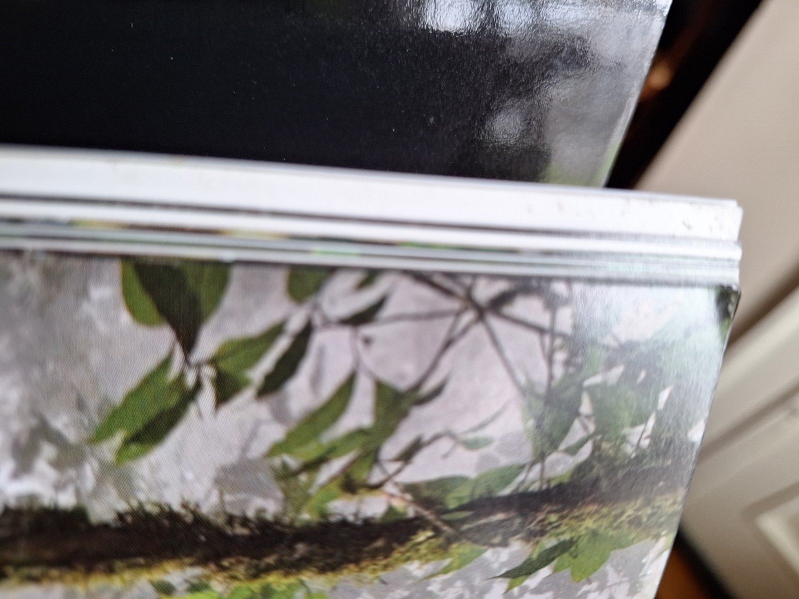 Monteverde: Cloud Forest Preserve Hardcover. English & Spanish, 152 pages