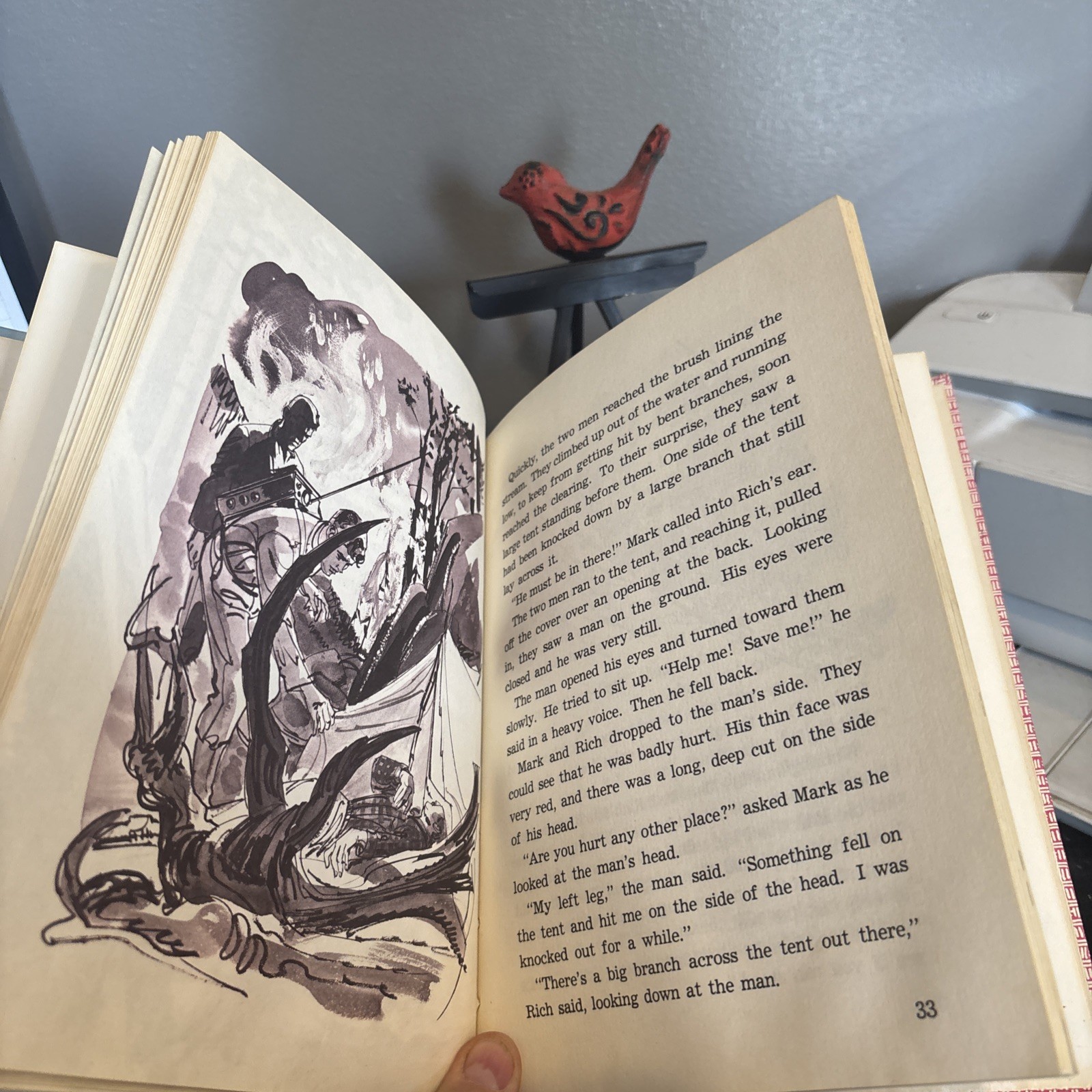 CHILDRENS BOOKS FIRE ON THE MOUNTAIN 1963 BAMMAN WHITEHEAD HARDCOVER Smoke Jump