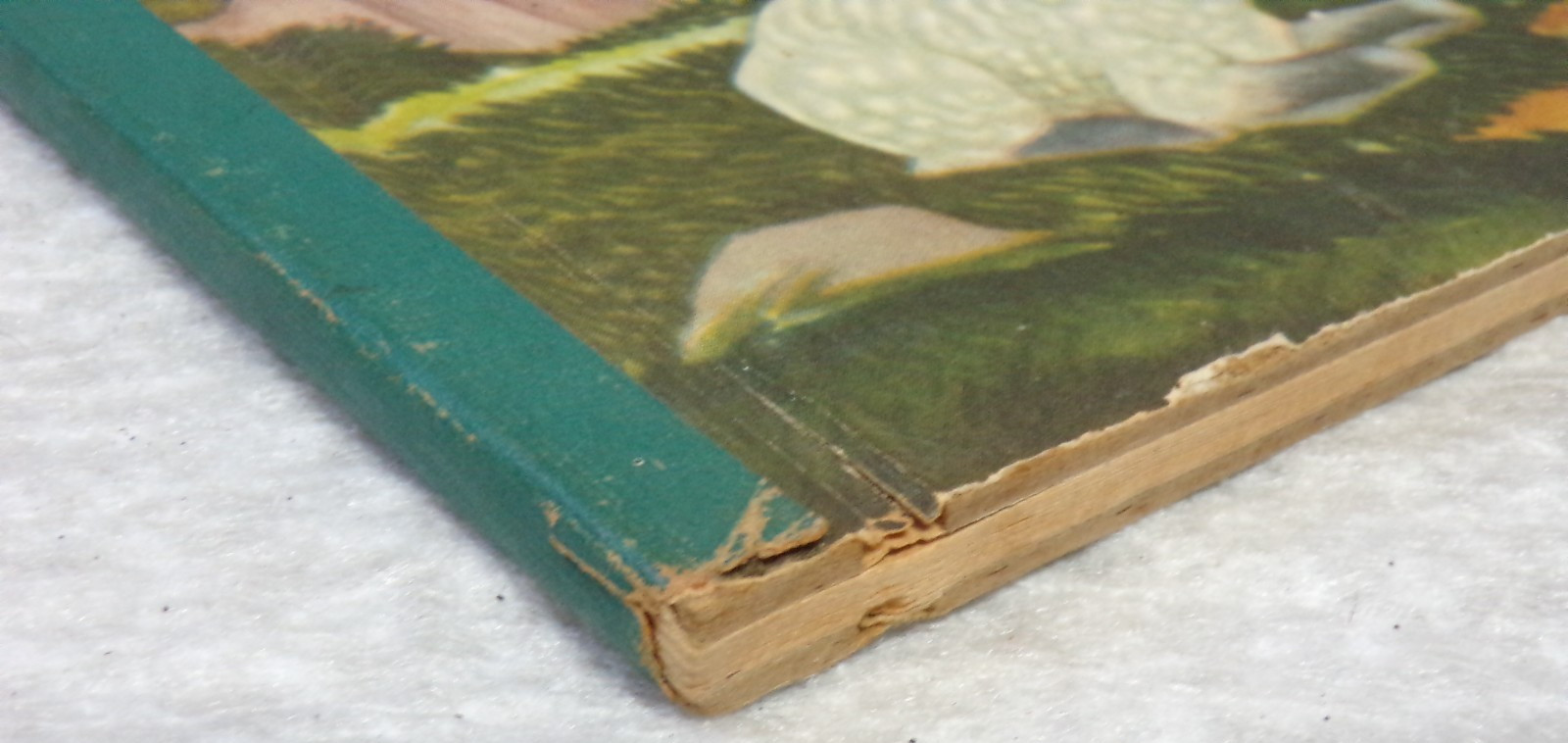 1945 THE BIBLE PICTURE BOOK HARD COVER COLOR ILLUSTRATED BY FLORIAN 48 PAGES