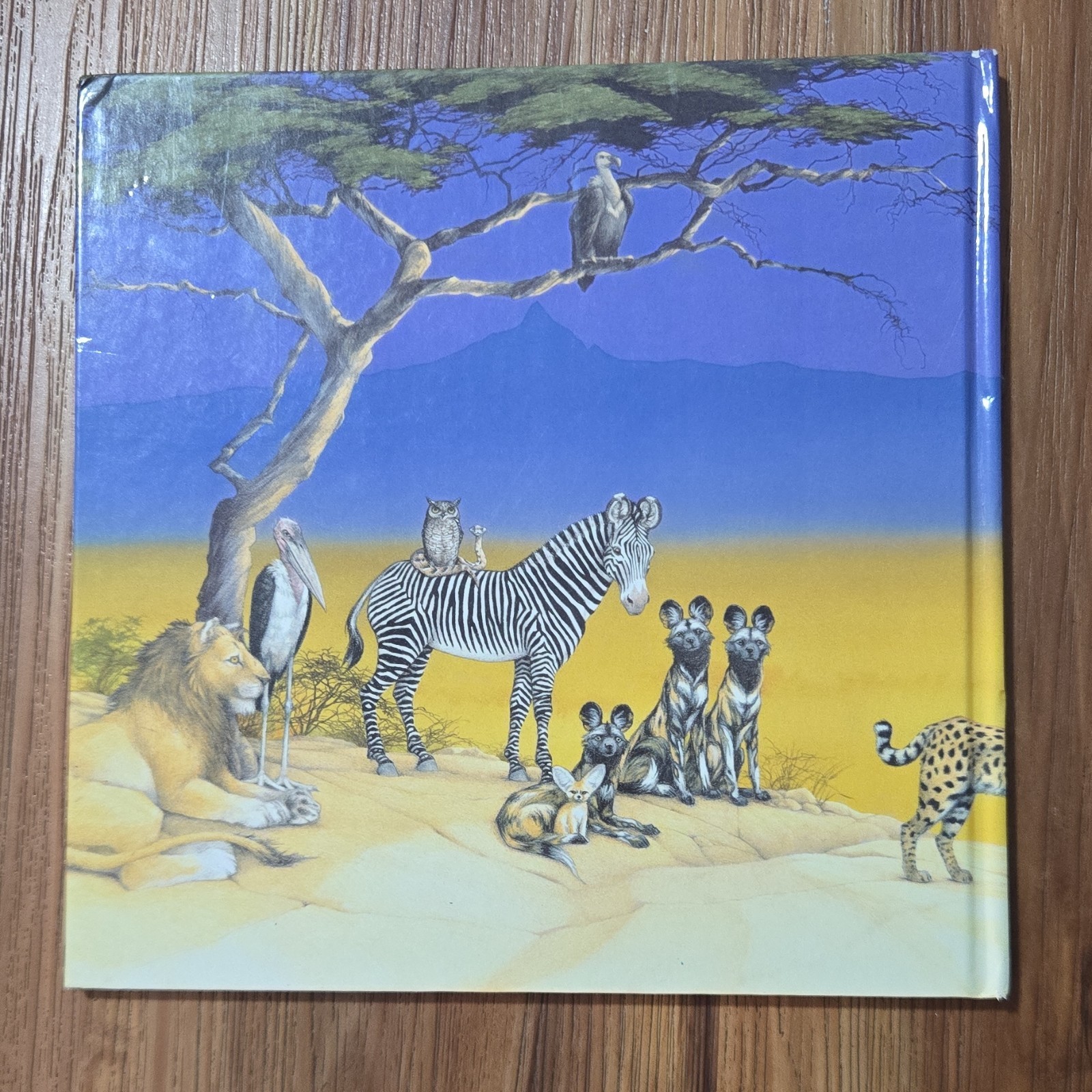 Pinduli by Janell Cannon, Hardcover, Picture Book, Animals, Ages 4-8