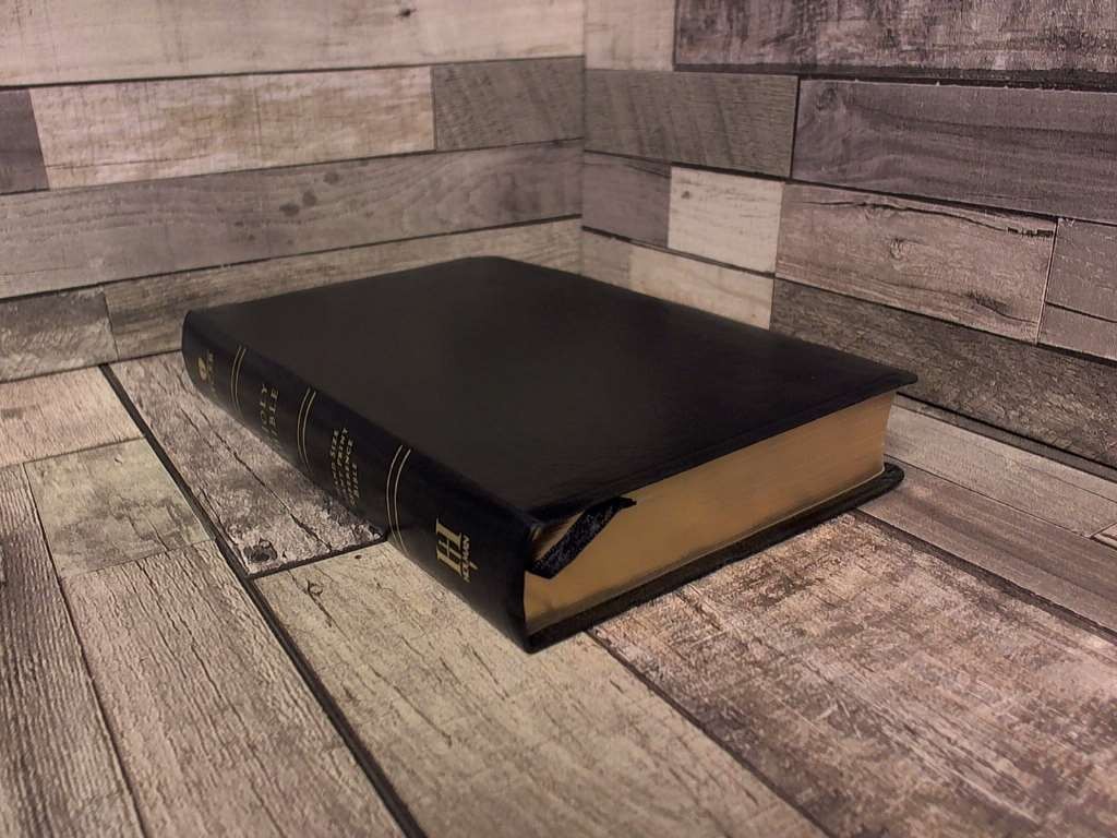 HCSB Hand Size Giant Print Reference Bible, Black Simulated Leather Indexed by