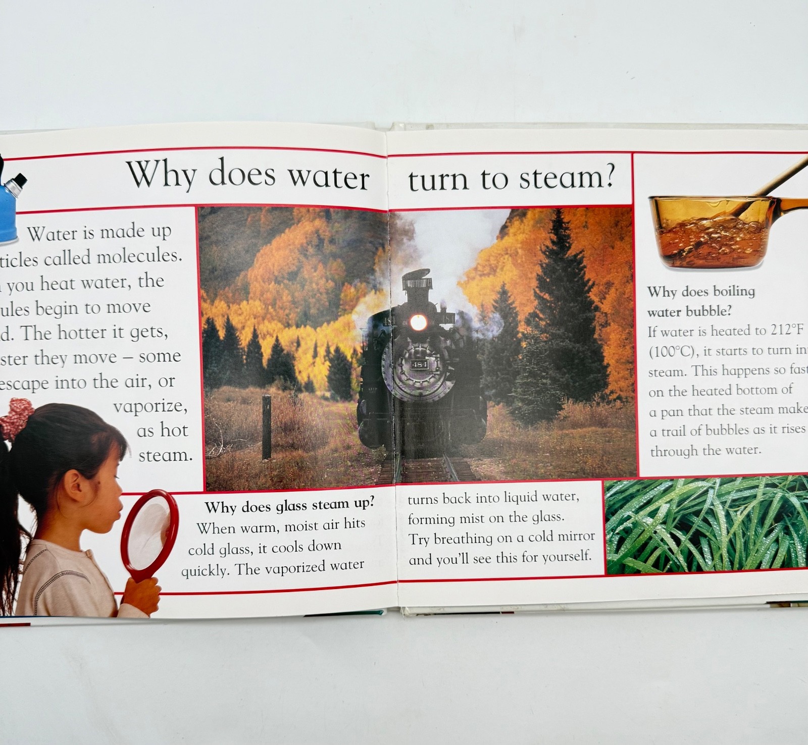 Set of 2~ Why? Questions Children Ask Children Books Series DK Publishing