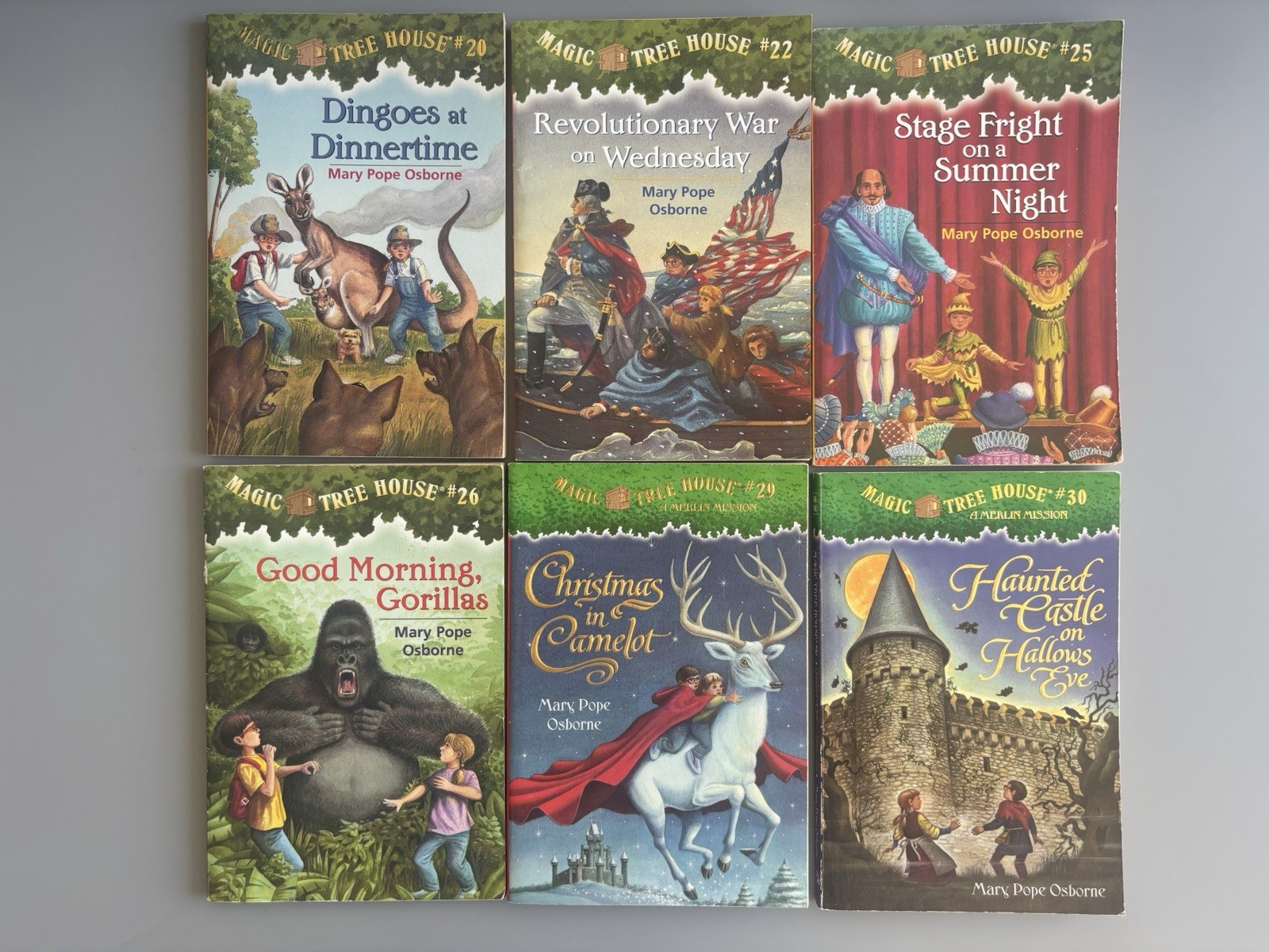 Magic Tree House Chapter Books YOU CHOOSE PICK, BUILD A LOT Merlin Mission