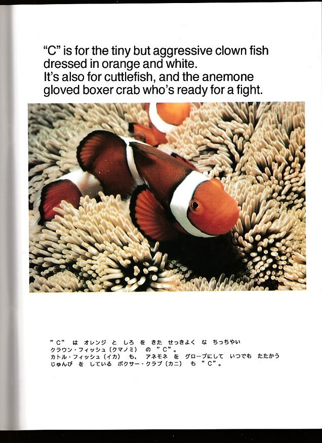 OKINAWA JAPAN-UNDERSEA ABC’S-D IS FOR DOLPHIN-L IS FOR LIONFISH-PHOTOS-KOUKOL