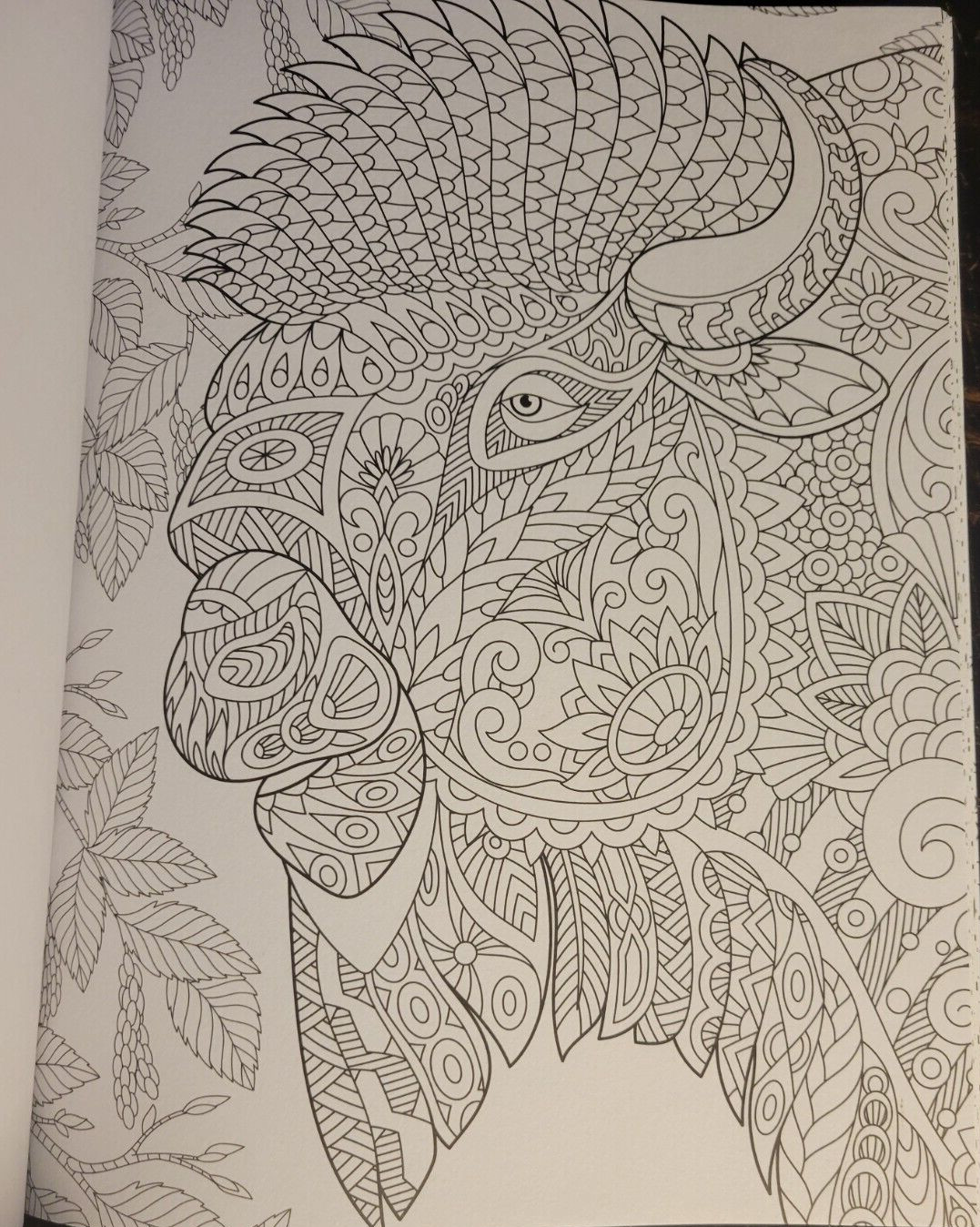MAGNIFICENT CREATURES Vol 19 – Adult Coloring Book by TOPIX MEDIA – 47 PRINTS