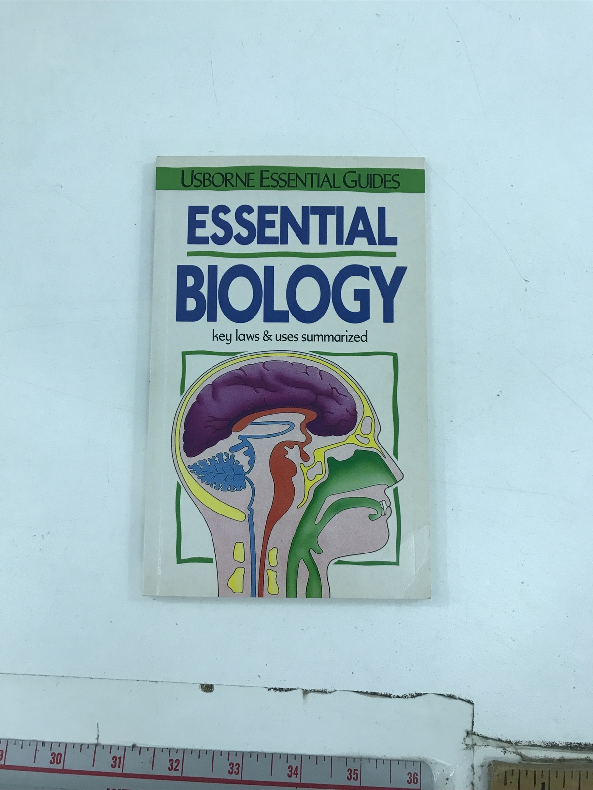 Essential Biology – Rebecca Treays (Paperback, 1992)