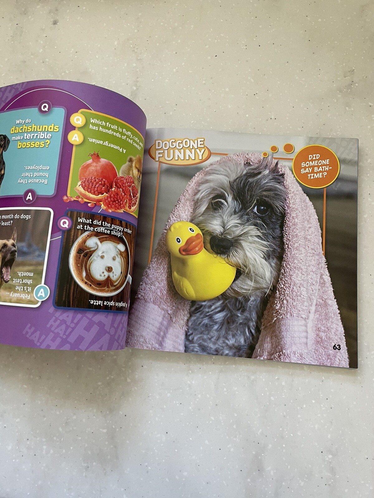 Just Joking Ser.: Just Joking Dogs by National Geographic Kids (2020, Trade…