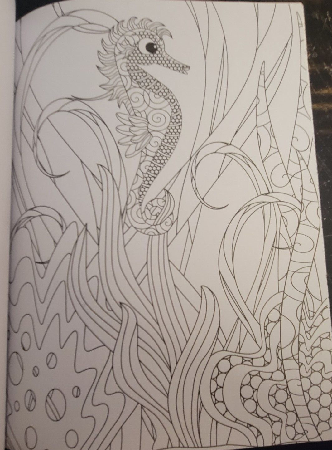 COLORS OF THE WILD Vol 22 Adult Coloring Book With 47 Prints Ready To Frame