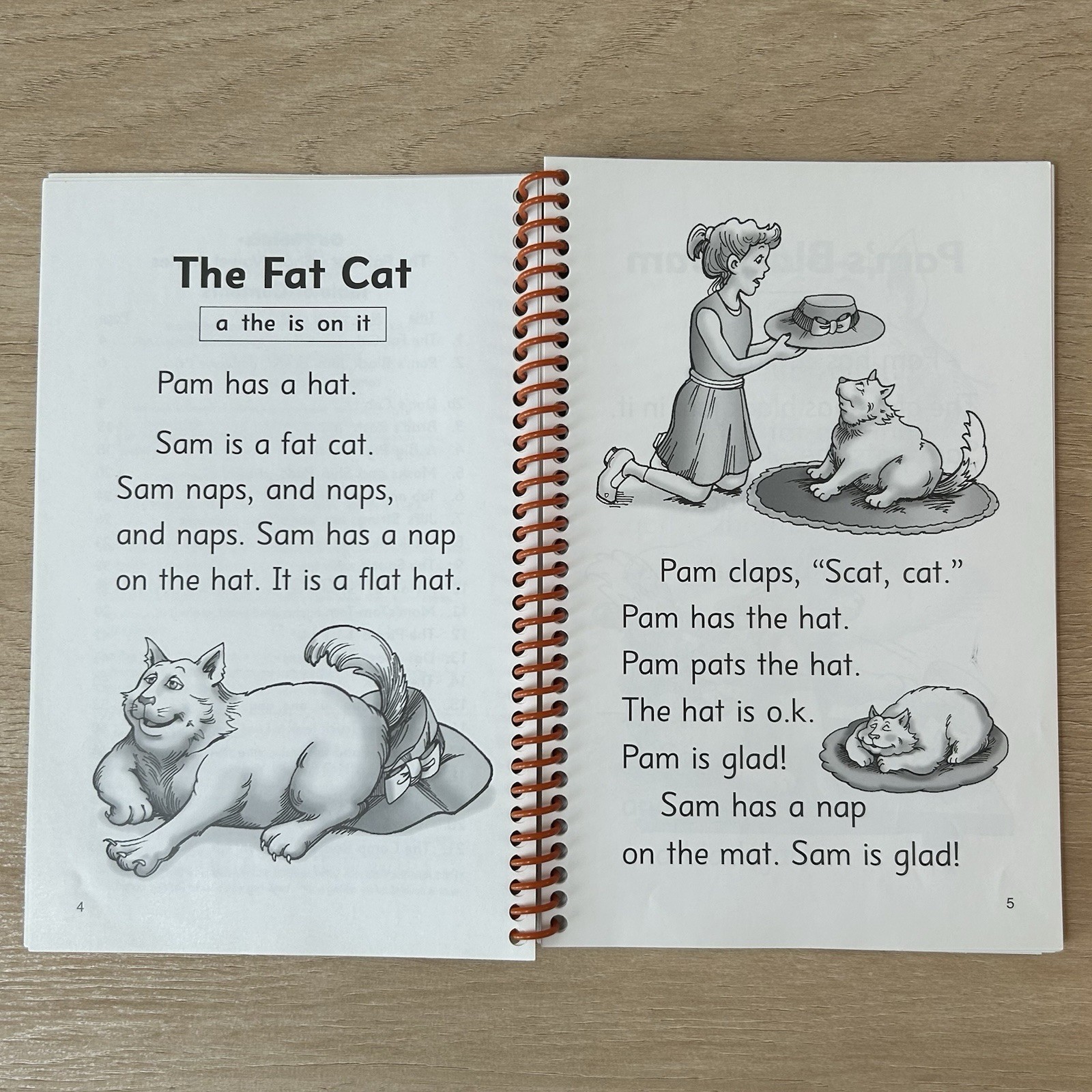 Go Phonics The Fat Cat Short Vowel Stories Level 2 Decodable Reader Book