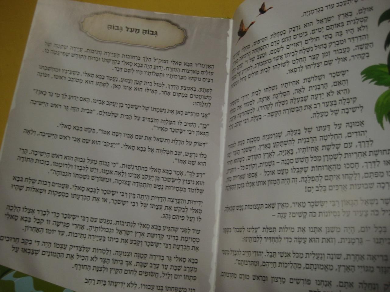 Hebrew Children Book STORIES OF RABBI YISACHAR MEIR סיפורים על רבי יששכר מאיר