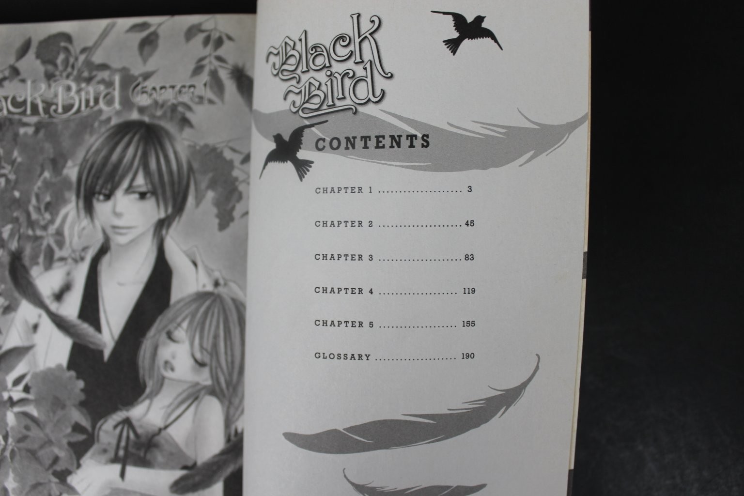 Black Bird, Vol. 1 Kanoko Sakurakoji 2010 Shojo Manga Supernatural VIZ Media VG