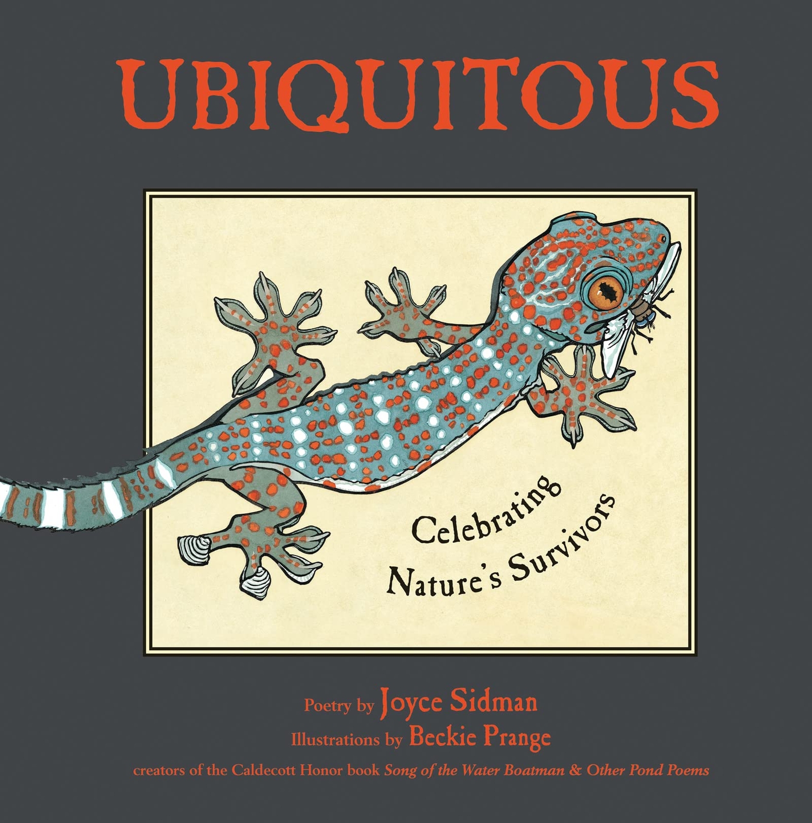 Ubiquitous: Celebrating Nature’s Survivors – Sidman, Joyce – Hardcover – Goo…