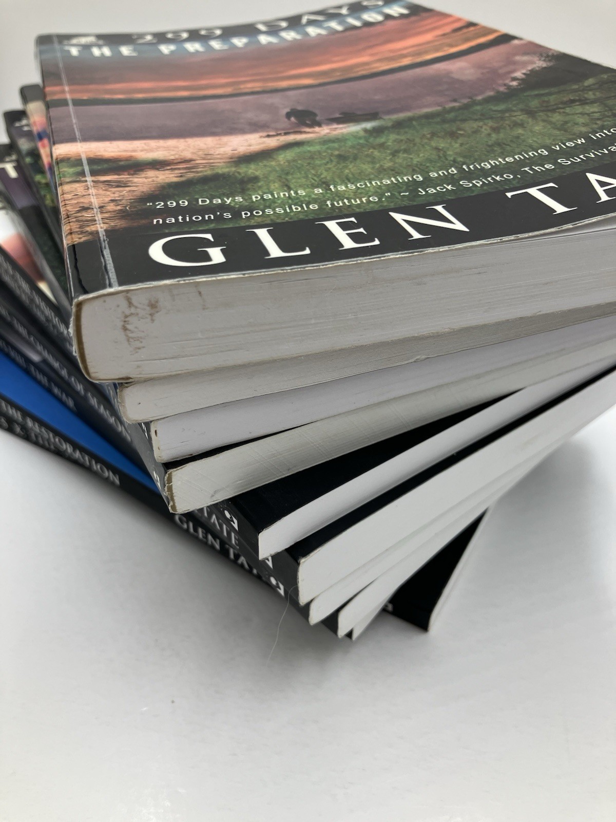Lot of 10 Glen Tate 299 Days Series Paperbacks Prepper Thrillers Government