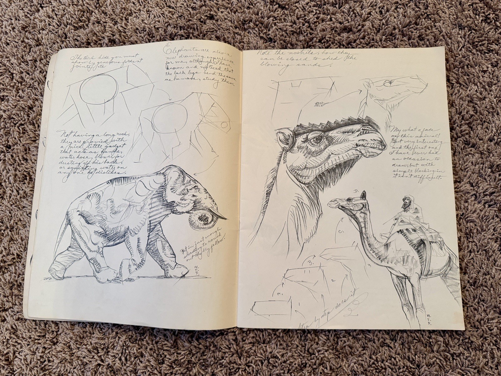 Vintage How to Draw Animals By Walter T Foster Art Instruction Book