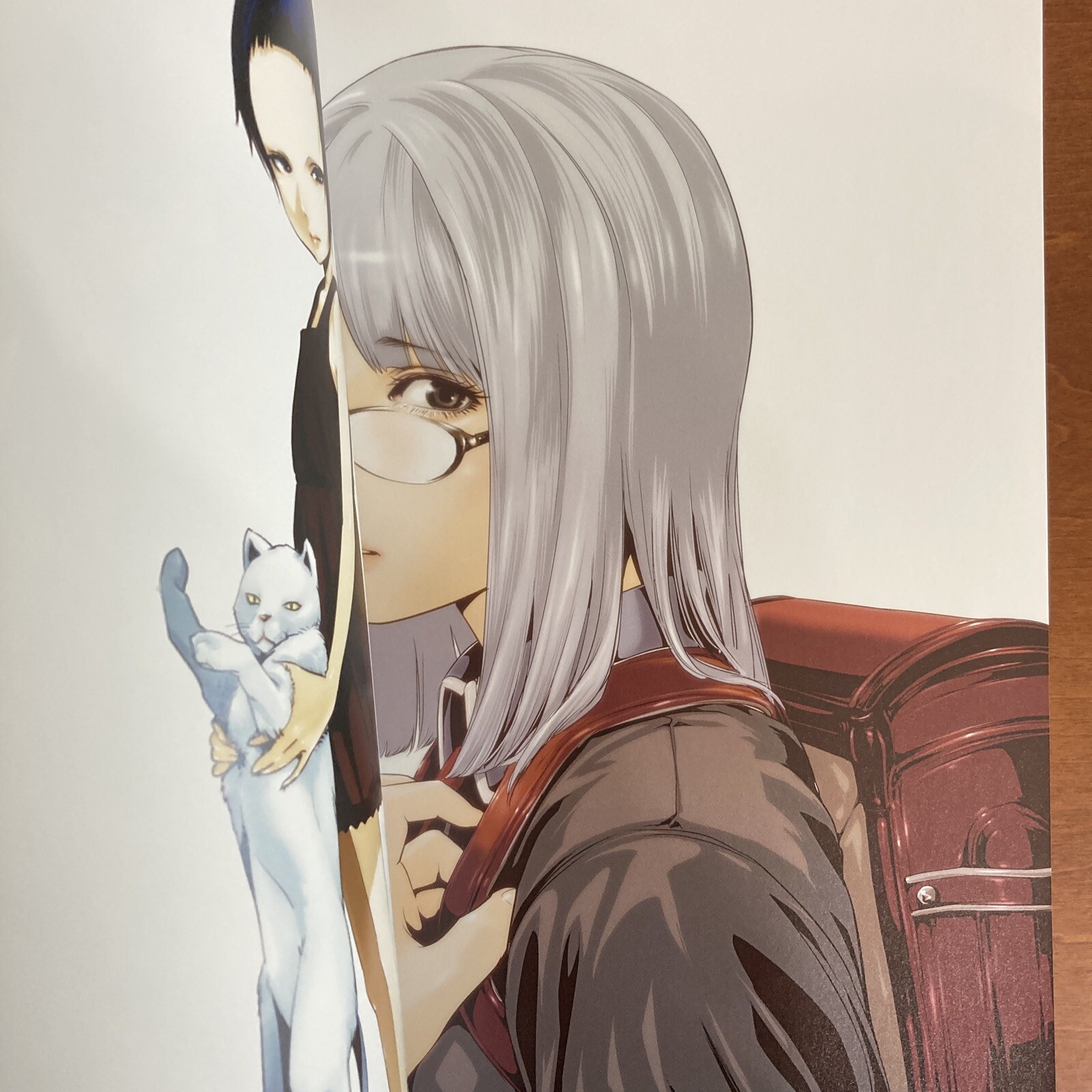 Akira Hiramoto Art Book GAMPUKU Prison School Manga Anime Illustration Design